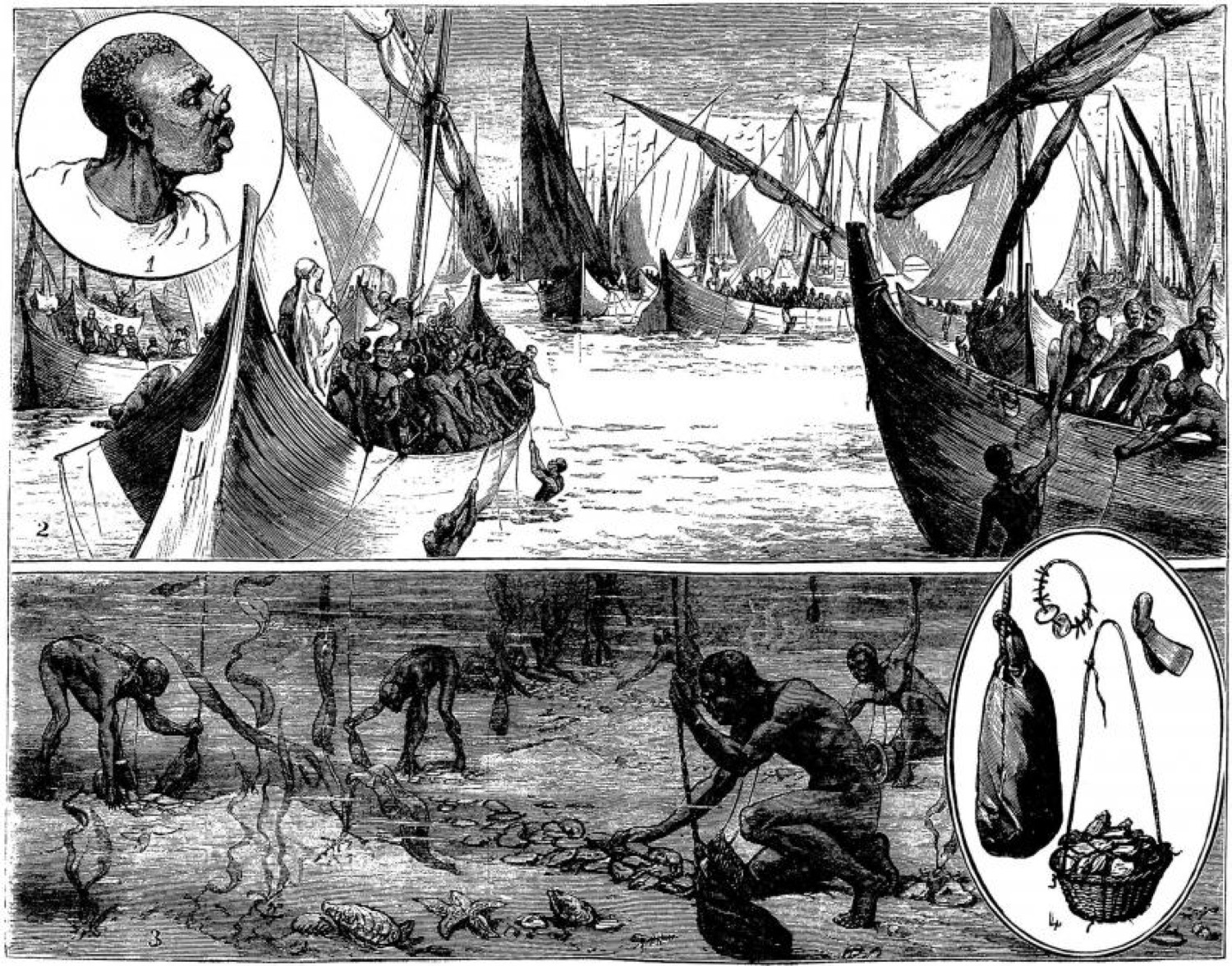 1881 engraving: a portrait of a diver with a nose clip, the fleet of pearl boats at anchor, men collecting oysters on the bottom, and, in the inset, the equipment: clip, finger protectors, weight, and basket