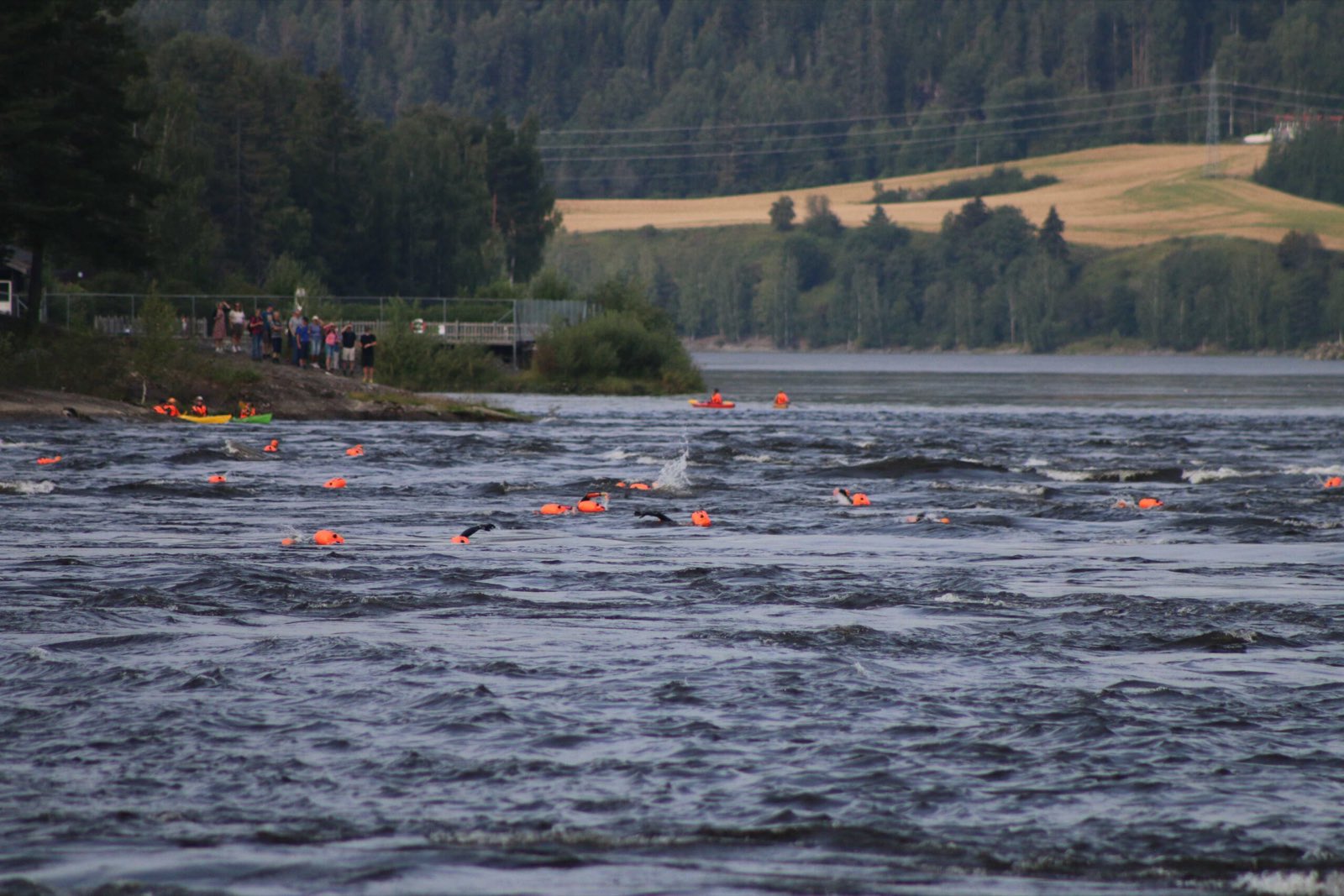 Schwimmer mit orangefarbenen Bojen in der gekräuselten Strömung der Glomma