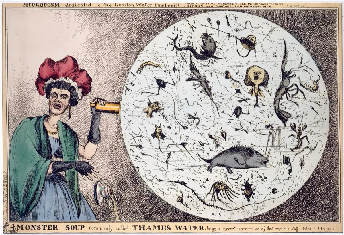 Gravura satírica: uma mulher deixa cair a chávena de chá ao observar com uma lupa uma gota de água do Tamisa cheia de monstros e de um peixe grande