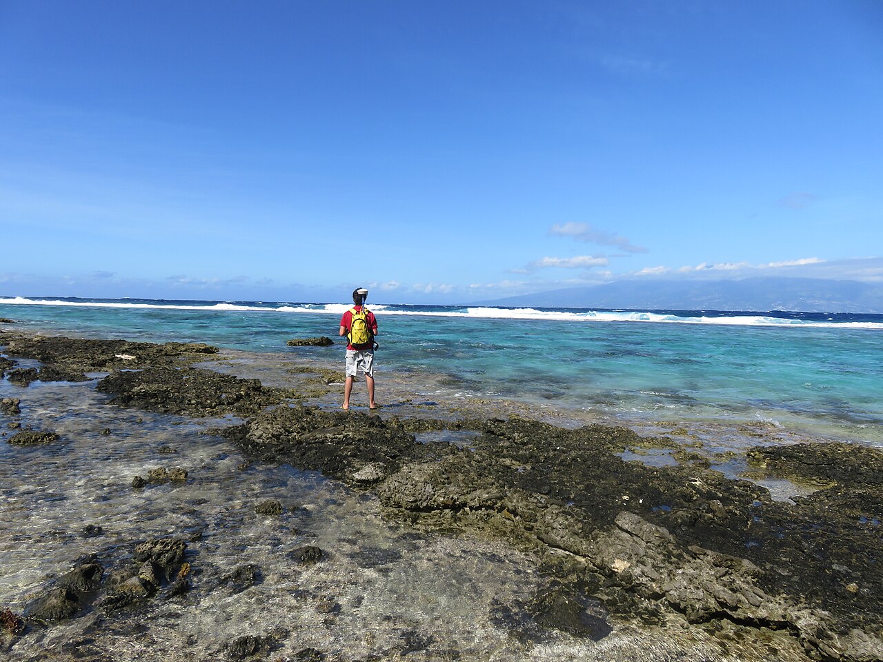 Moorea beachrock