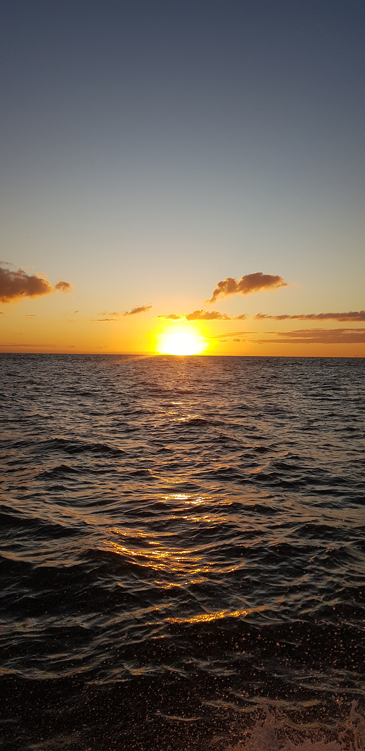 Parque Nacional Marinho dos Abrolhos - Vanessa Zanetich (13)