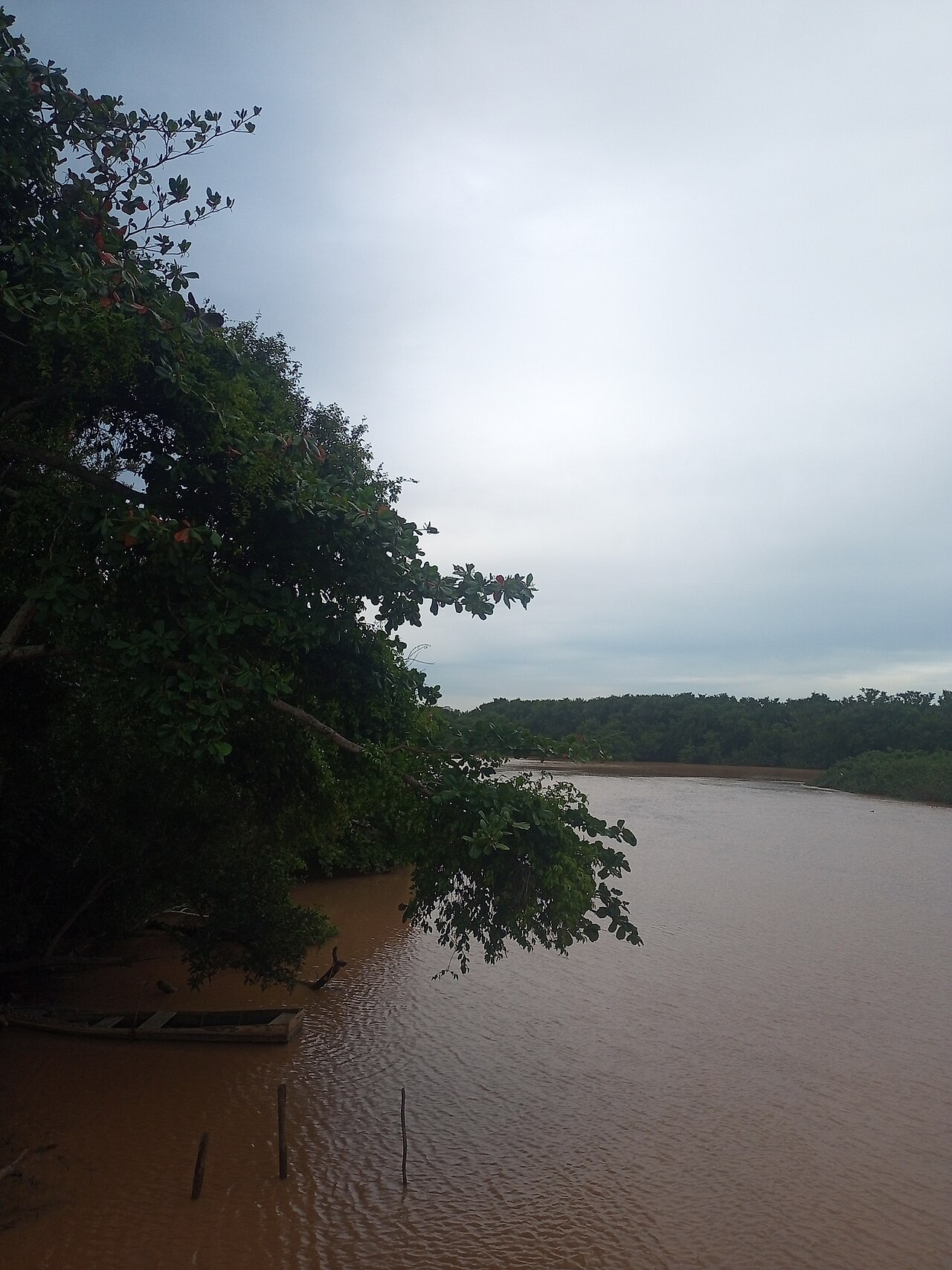 Barra do Jucu Vila Velha ES 6