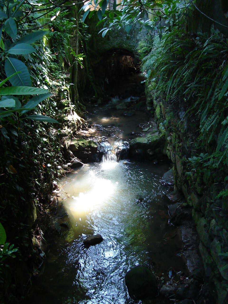 Rio Carioca