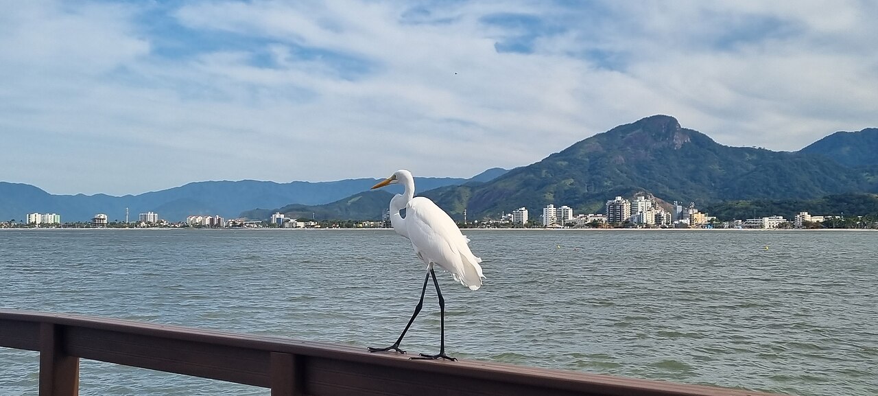 Pier Camaroeiro Caraguatatuba-SP