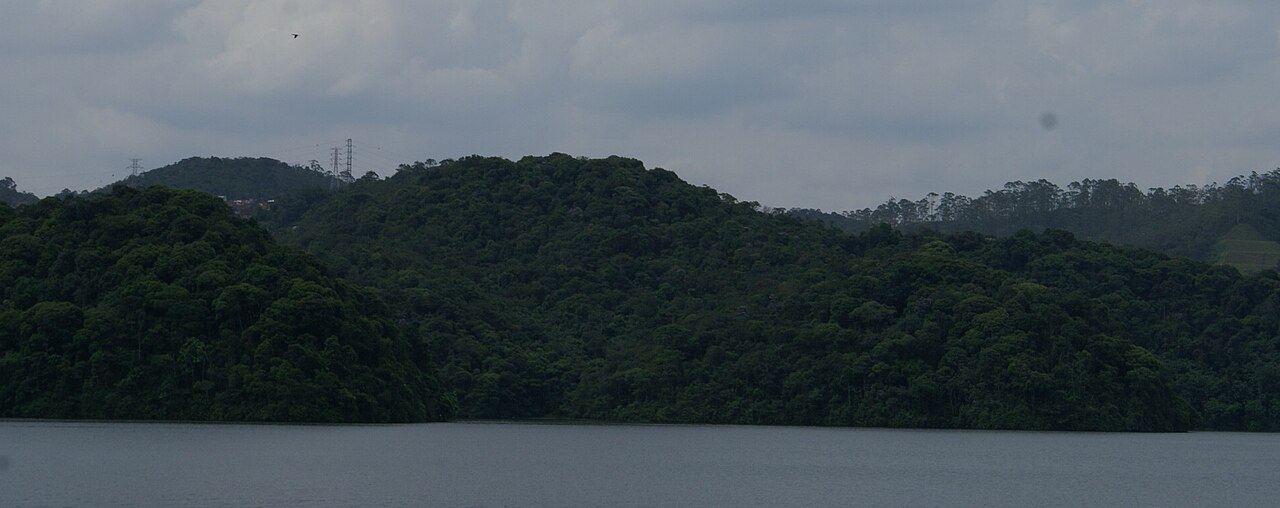 Mata Atlântica - Represa Billings - SBC - by Lucas