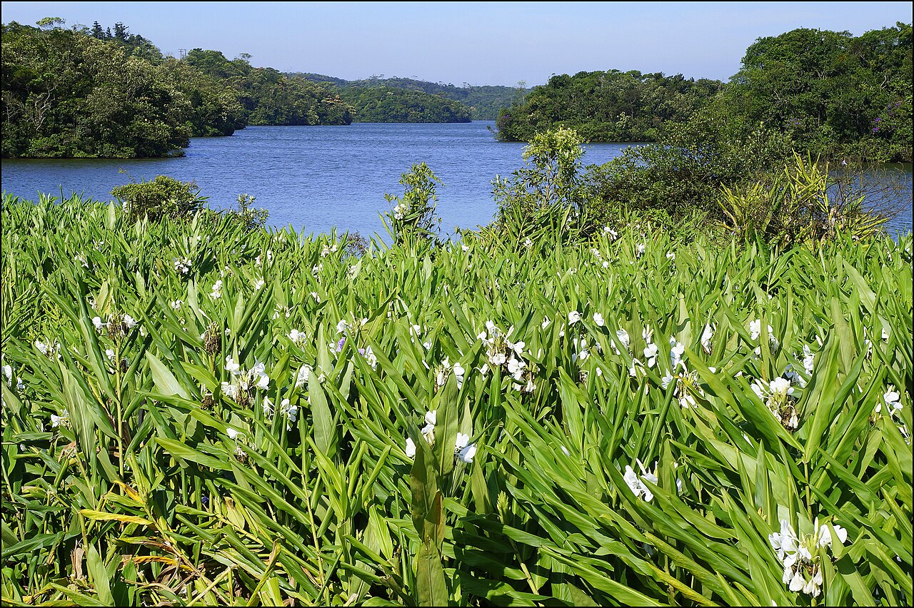 Represa Billings - panoramio