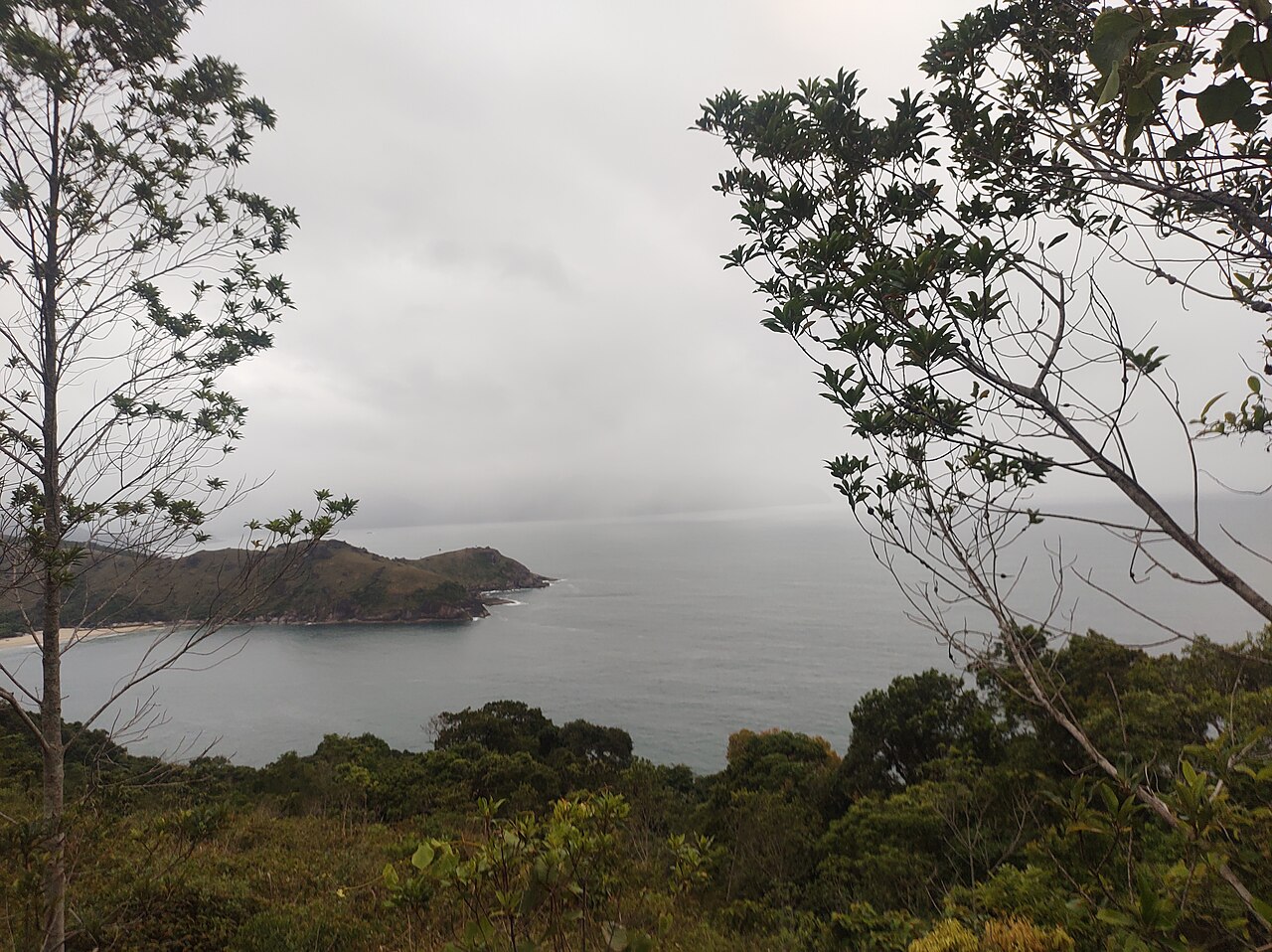 Parque Estadual de Ilhabela - Arthur Grangeiro de Souza (185)