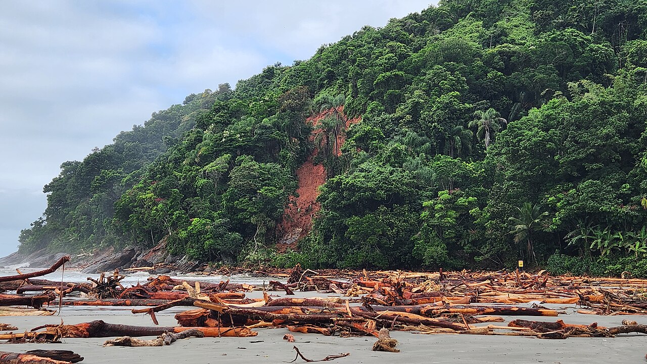 Área de Proteção Ambiental Baleia Sahy Fábio J P Silva (01) 01