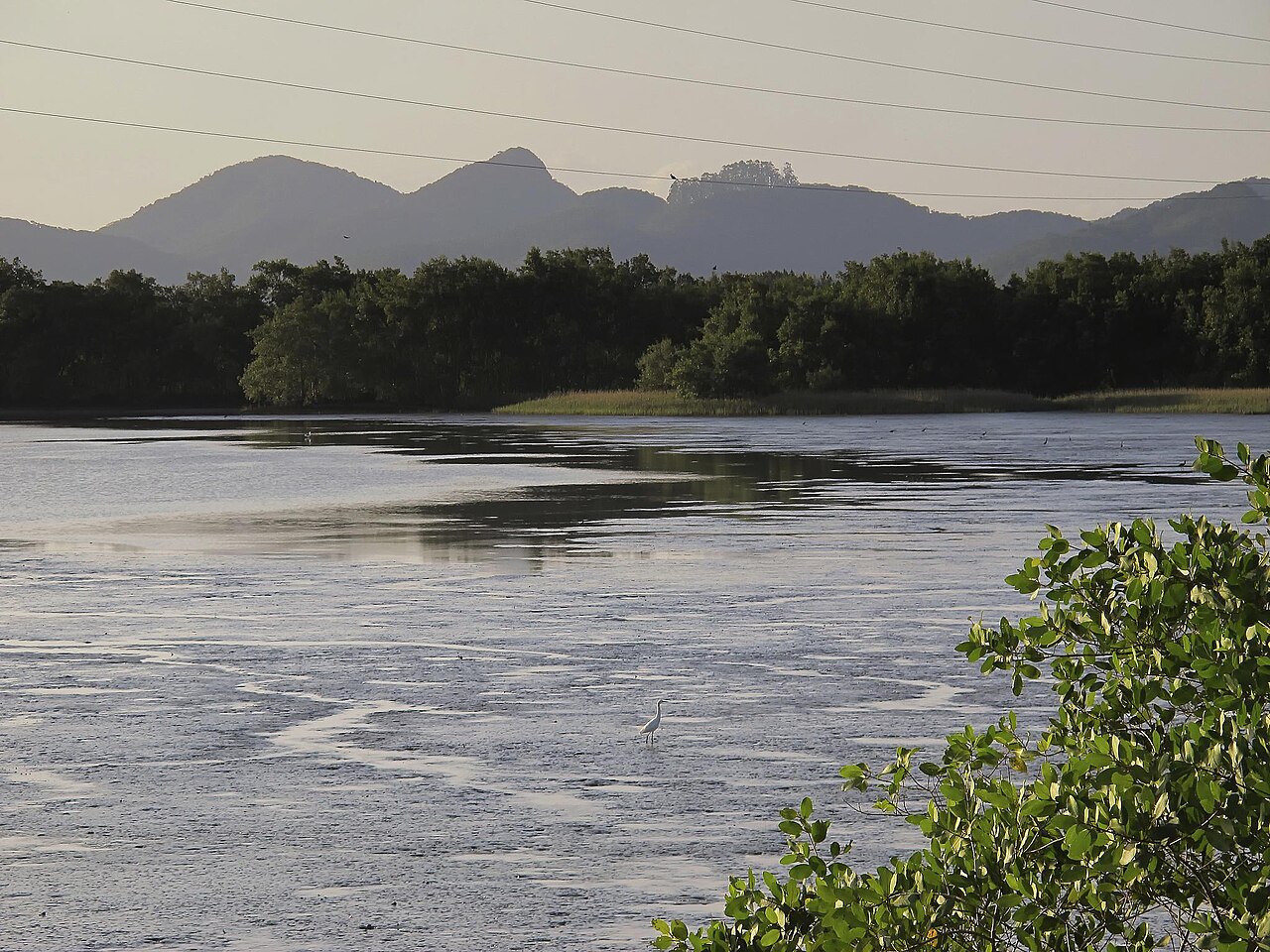 Baia da Babitonga (6865676683)