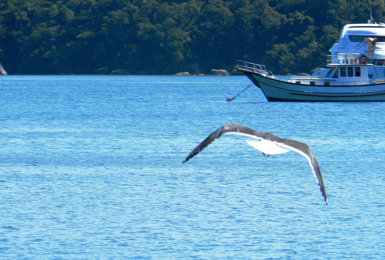 Porto Belo SC - panoramio