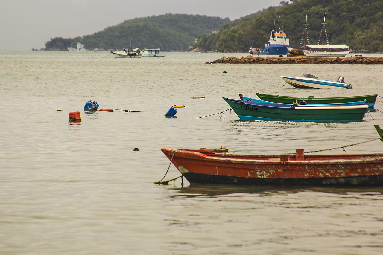 Mar Coloreado (38587558)