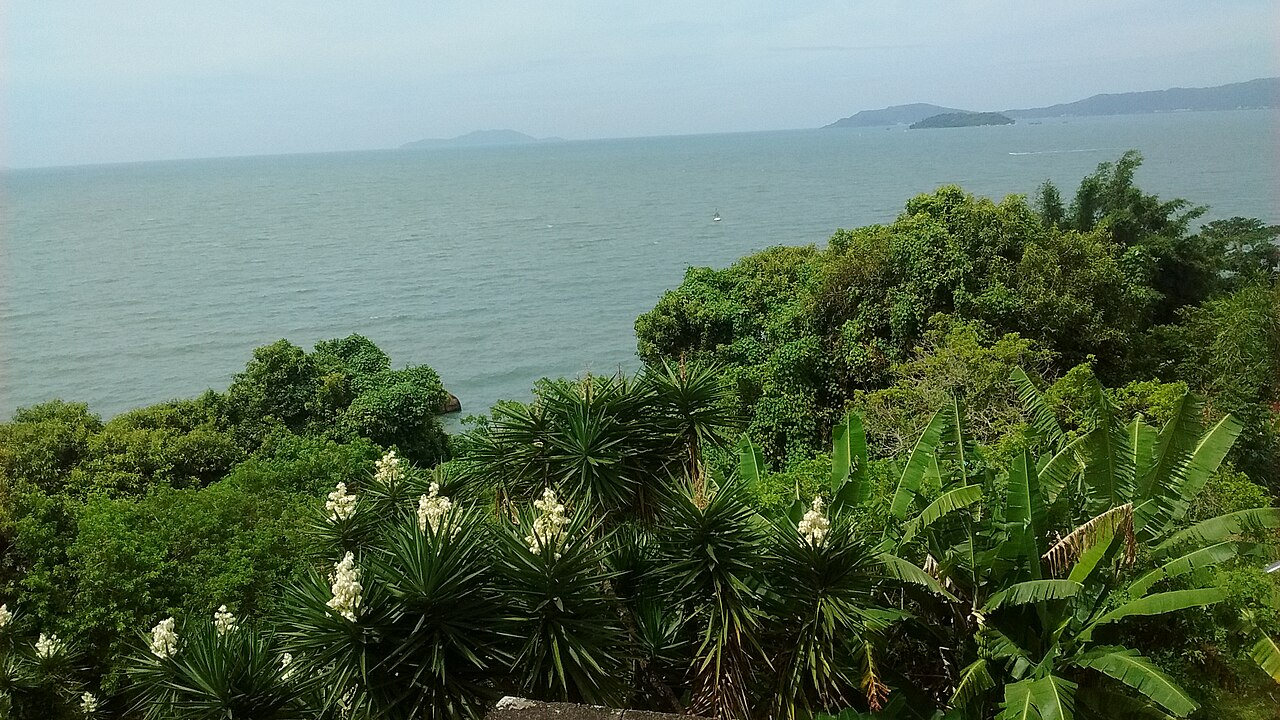 Jurere praia do forte