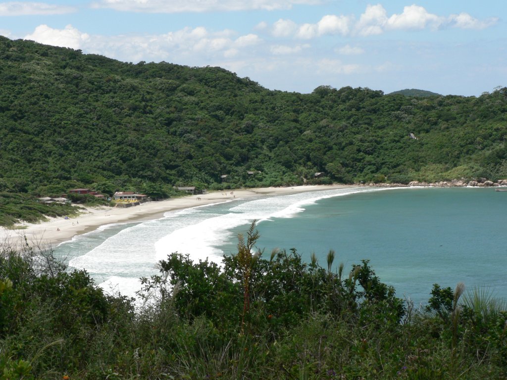 Praia de Naufragados