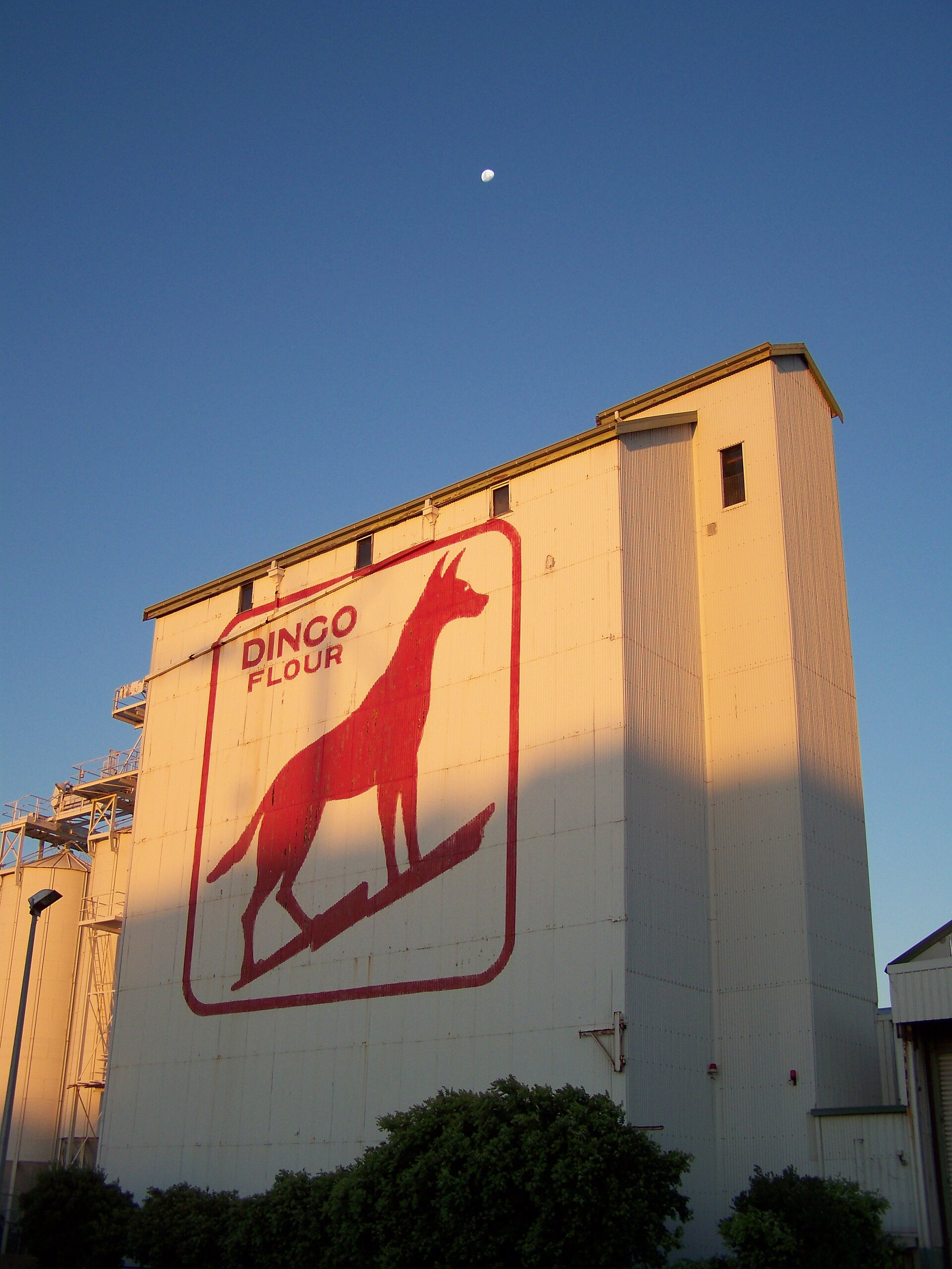 Dingo Flour sign