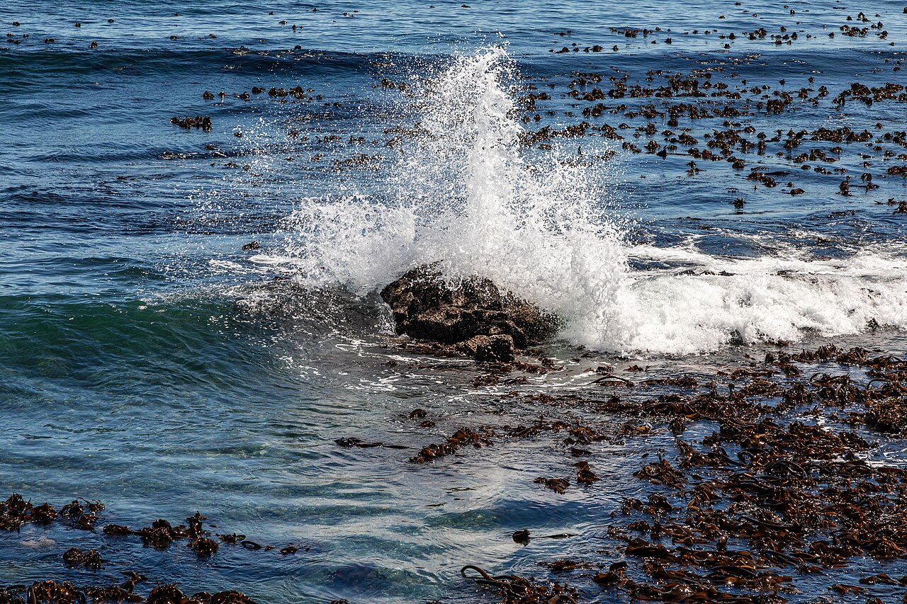 Cape Town (ZA), Sea Point Promenade -- 2024 -- 3629