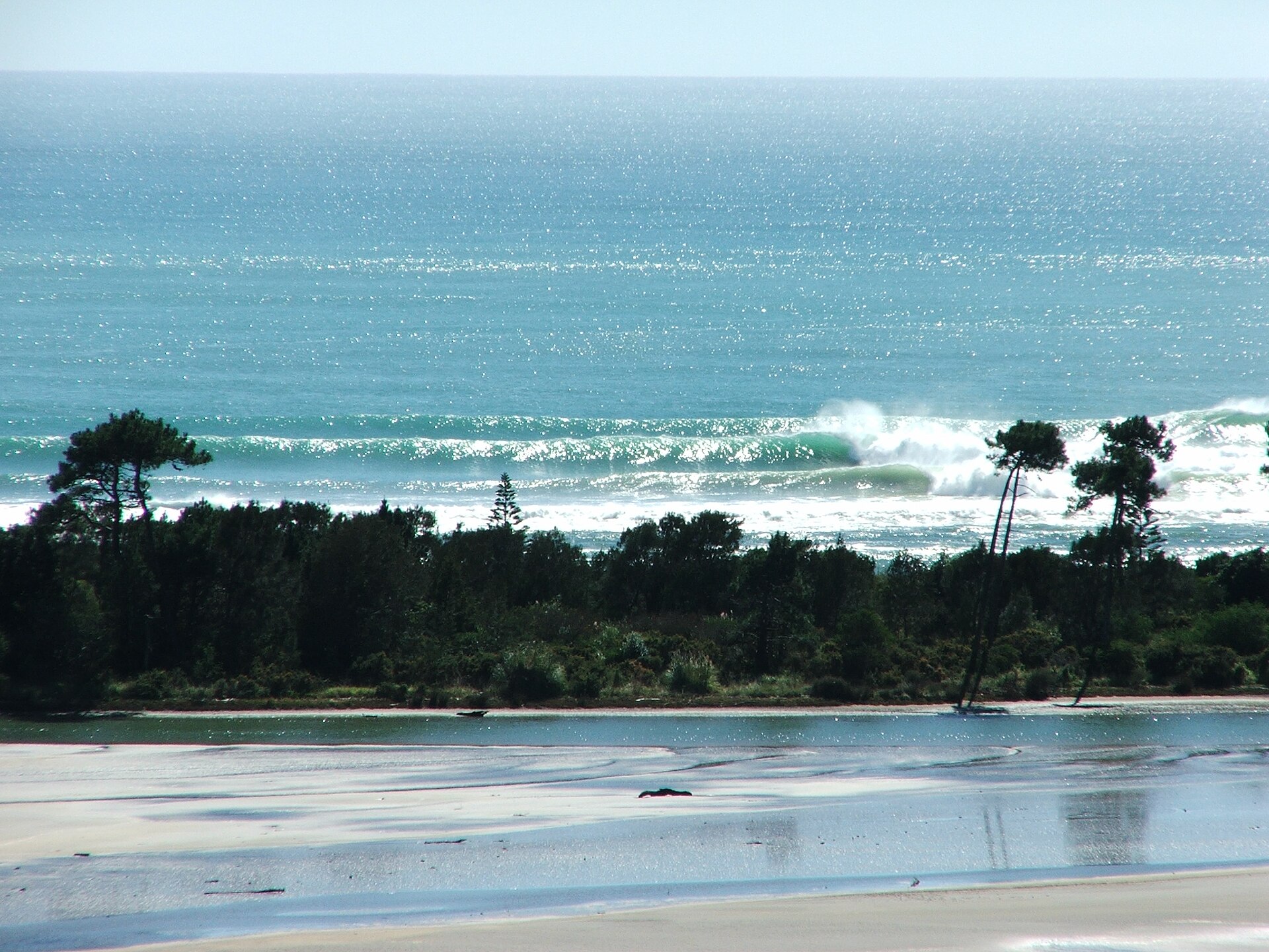 Bay of Plenty