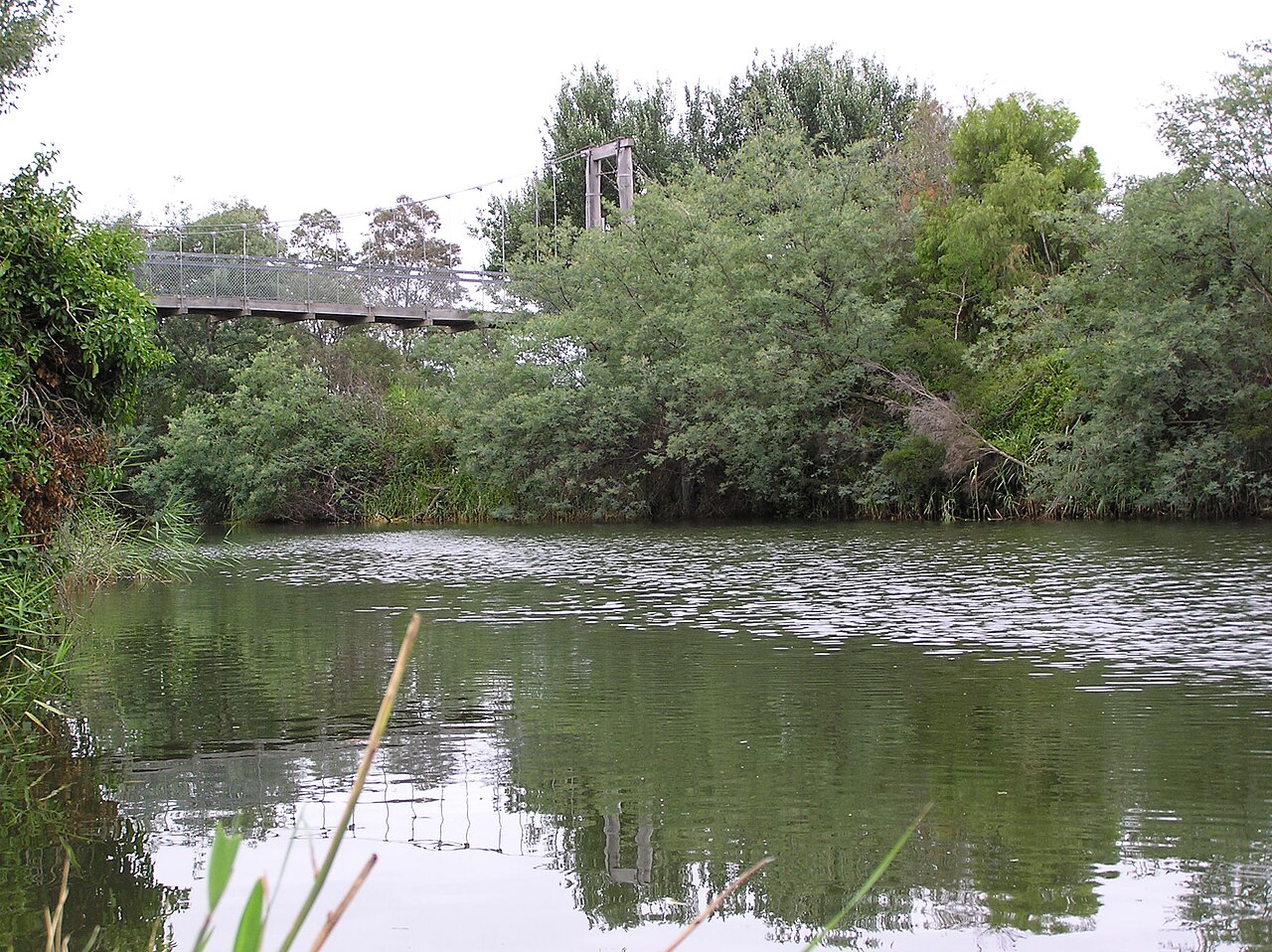 Backwater fishing hole Bairnsdale - panoramio