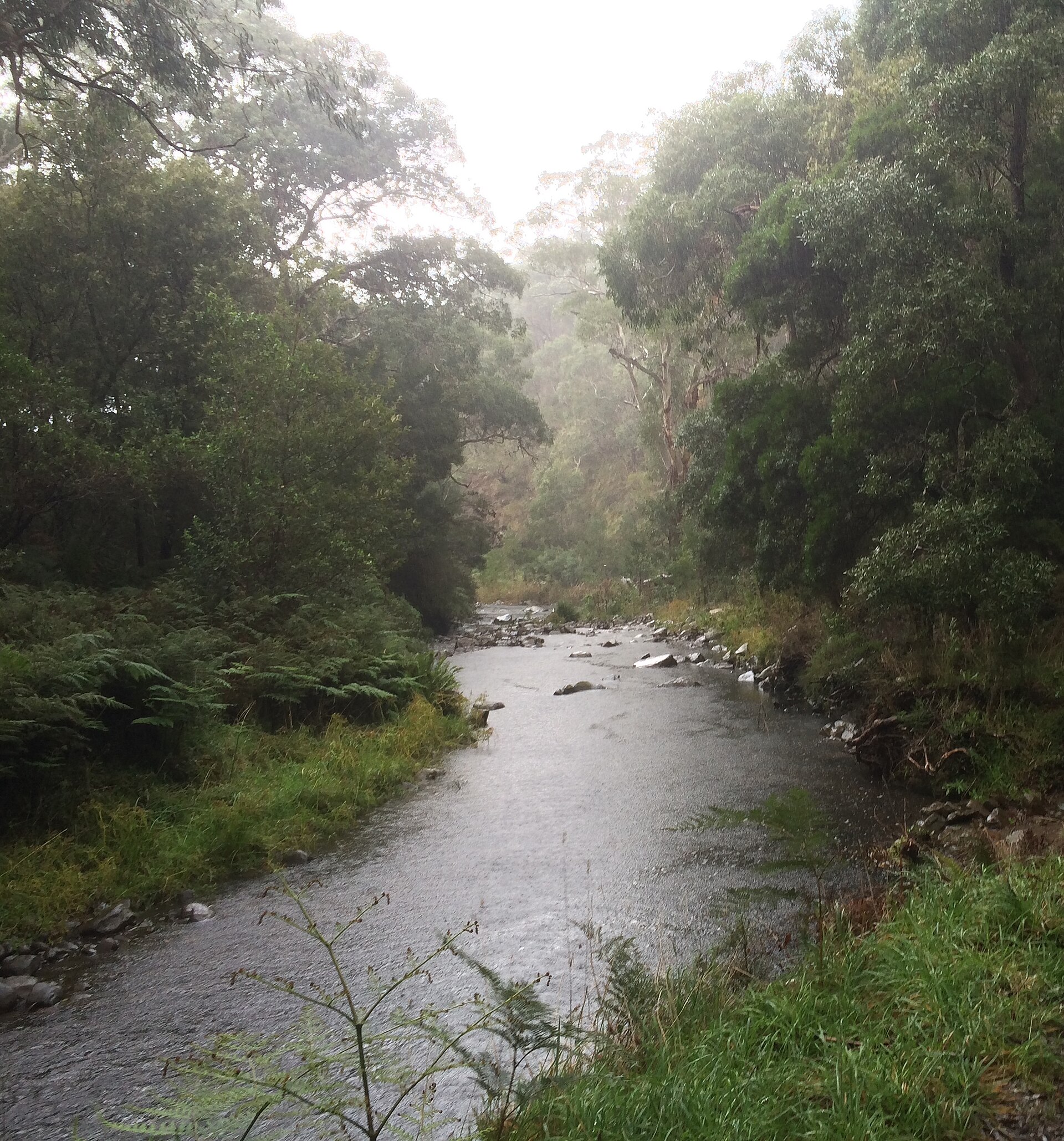 Cumberland River (Victoria)