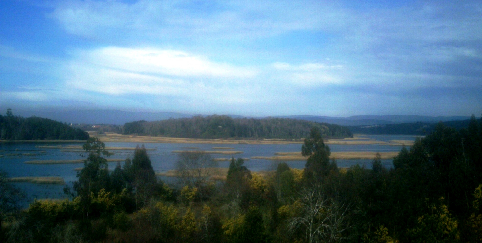 Río Cruces
