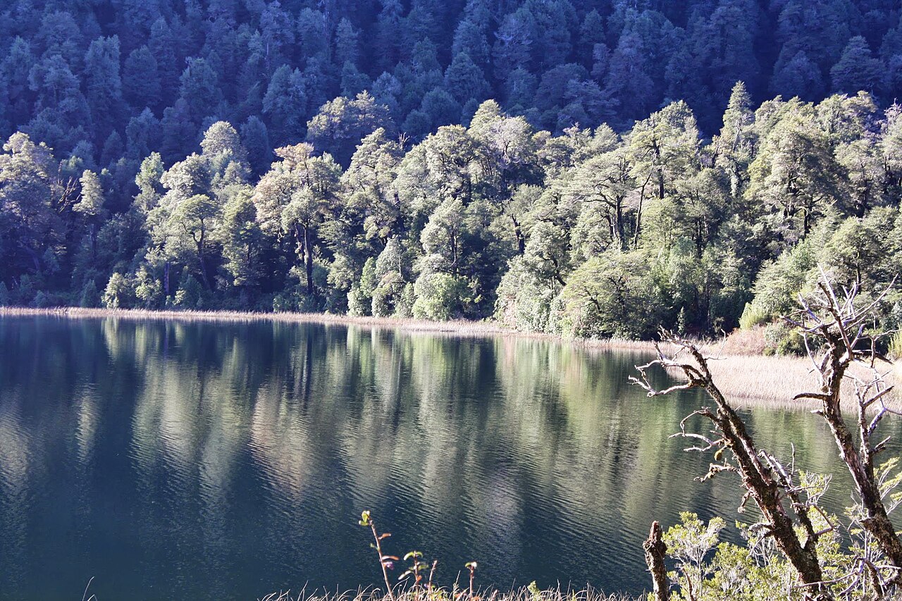 Lago Toro - panoramio