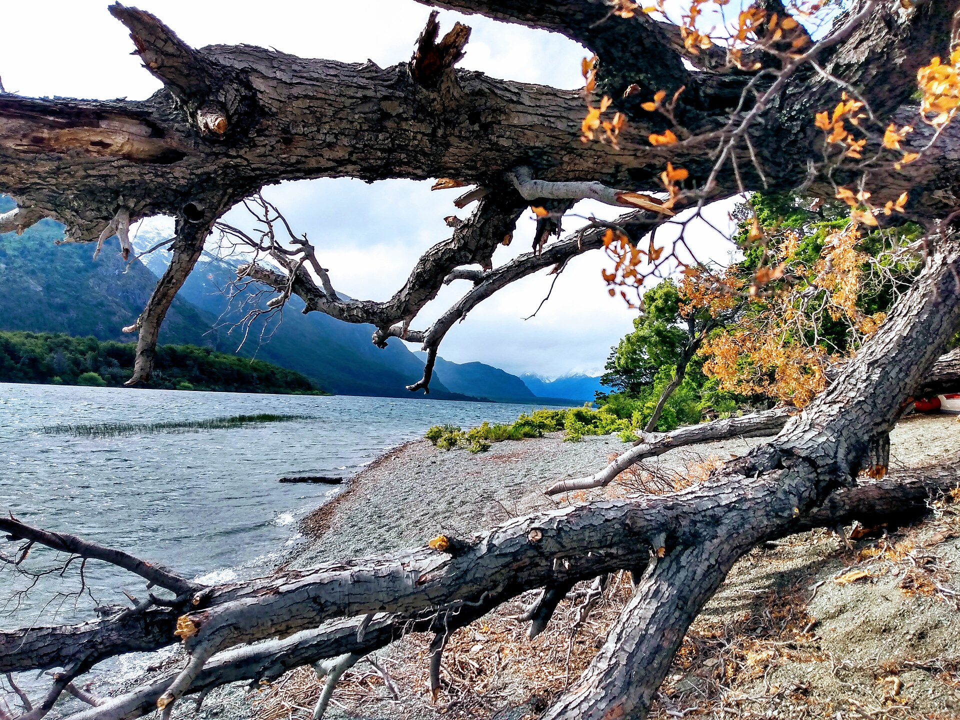 Lago Futalaufquen