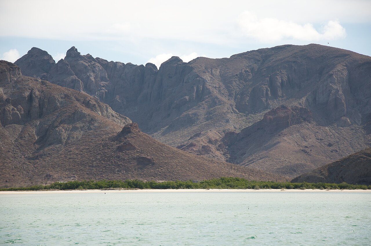 Mangroves north of La Paz (cerca de Tecolote) - panoramio