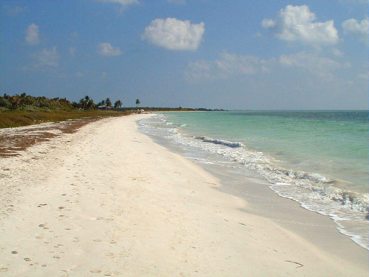 Windley Key Fossil Reef Geological State Park