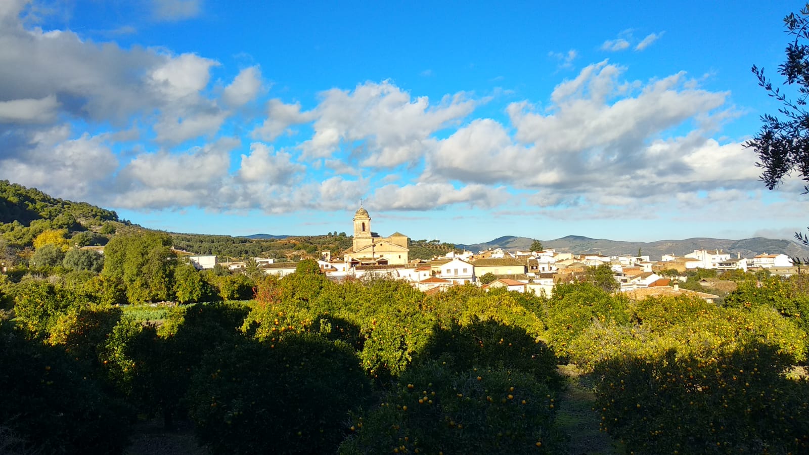 El Pinar (Granada)
