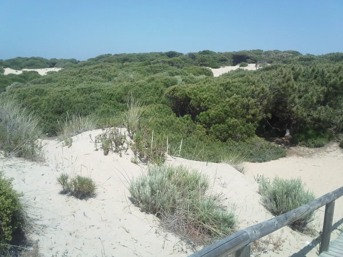 Punta Umbría