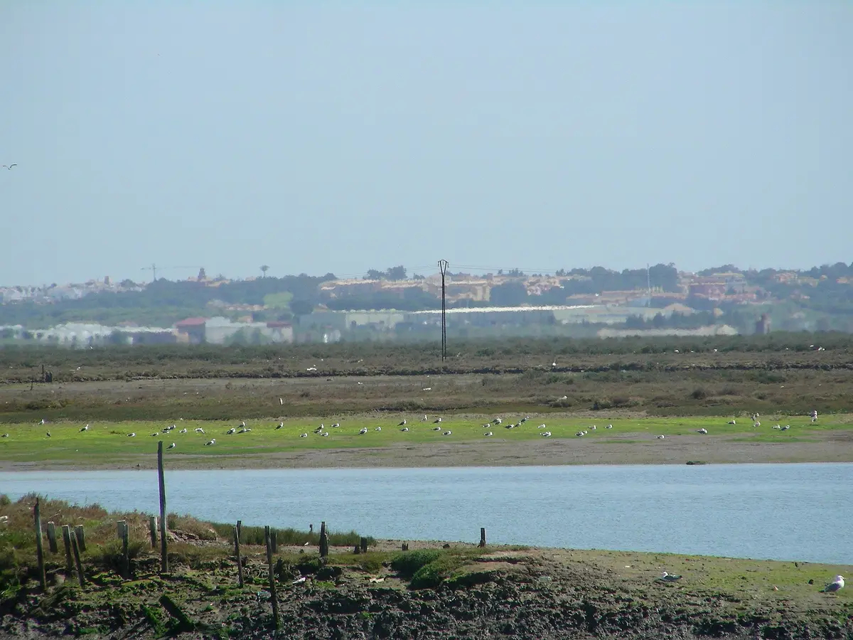 Marismas de Isla Cristina