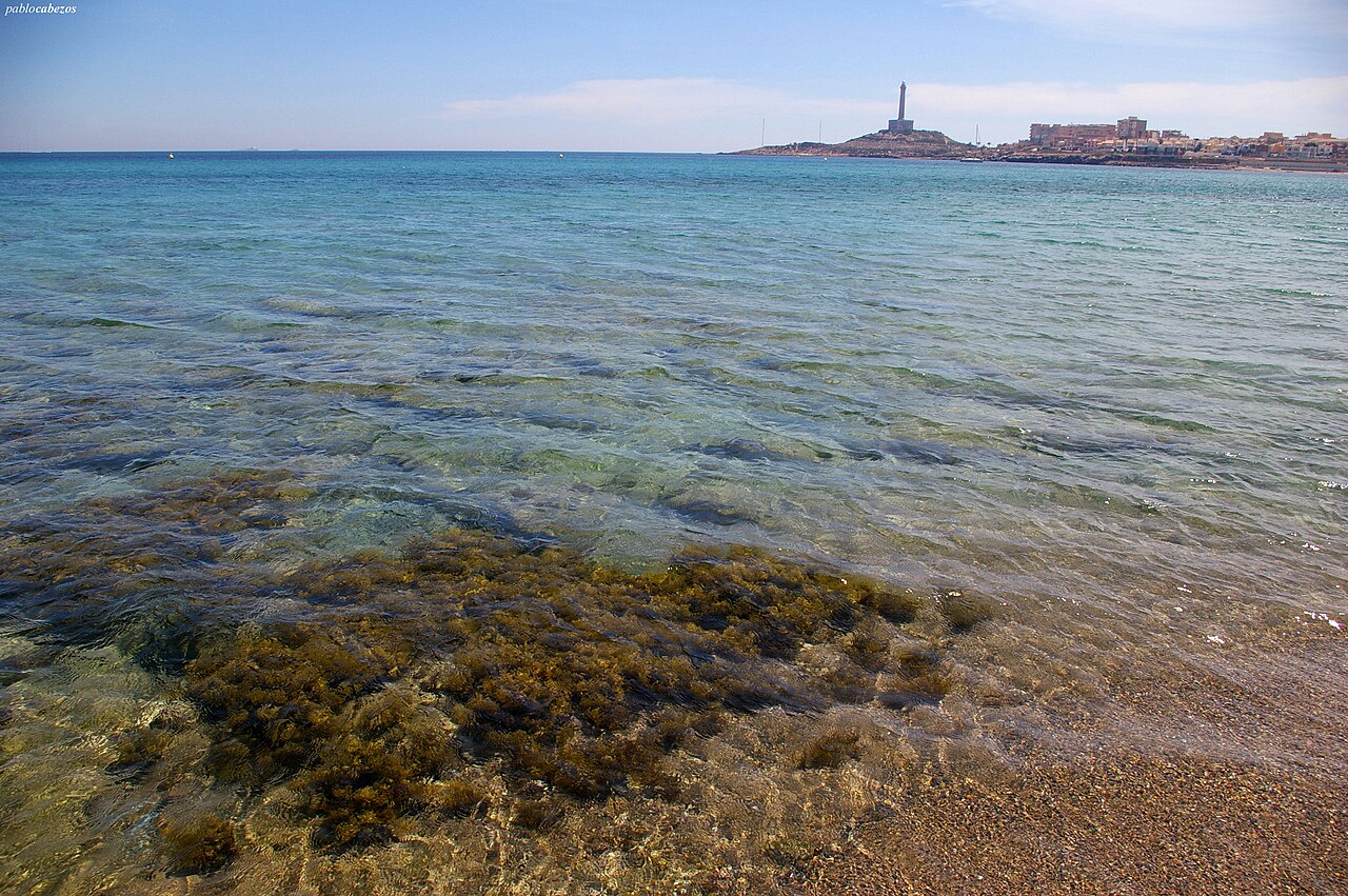 Cabo de Palos (17239076344)
