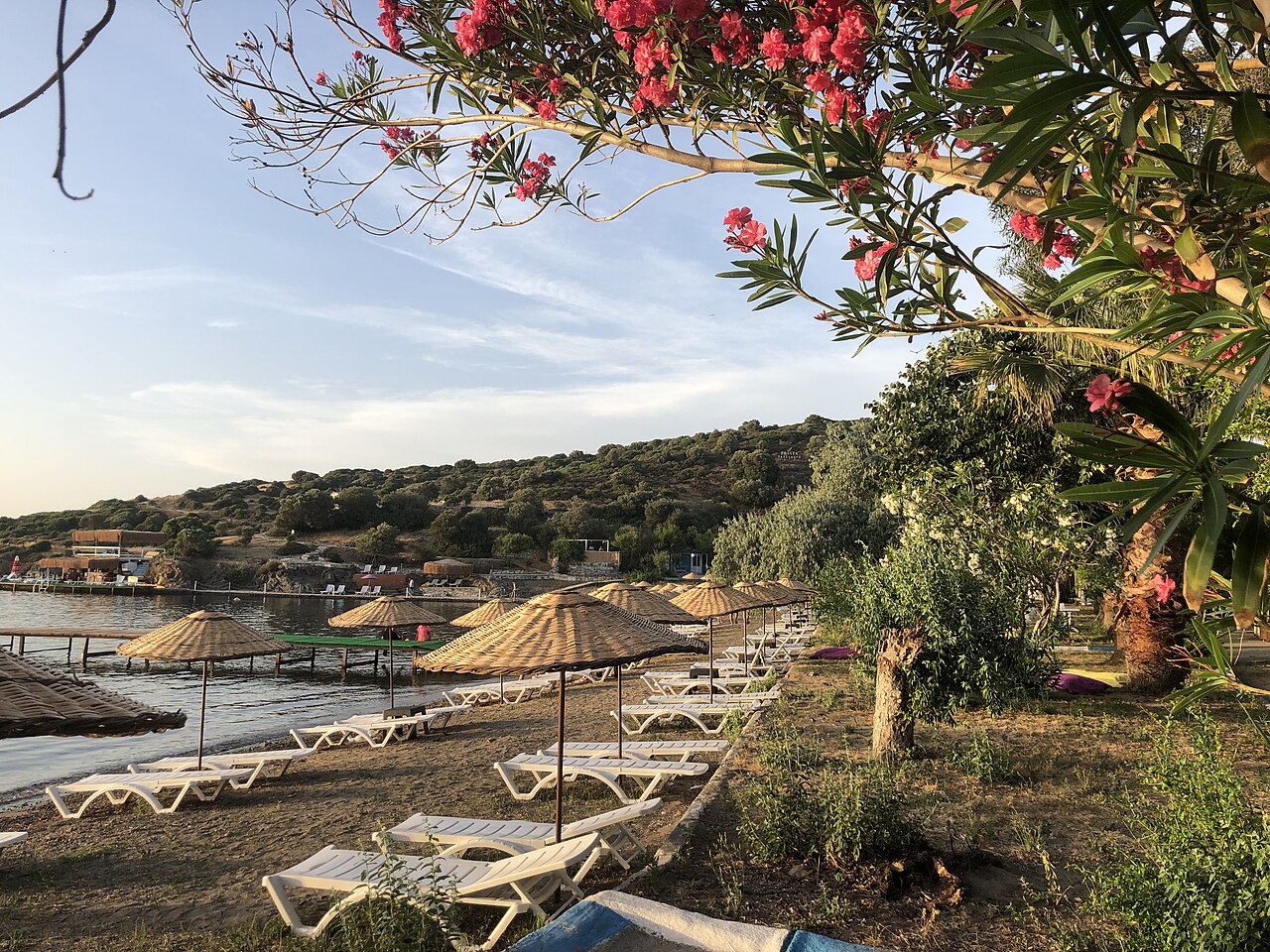 Eski Foça Koyları, Kumsal