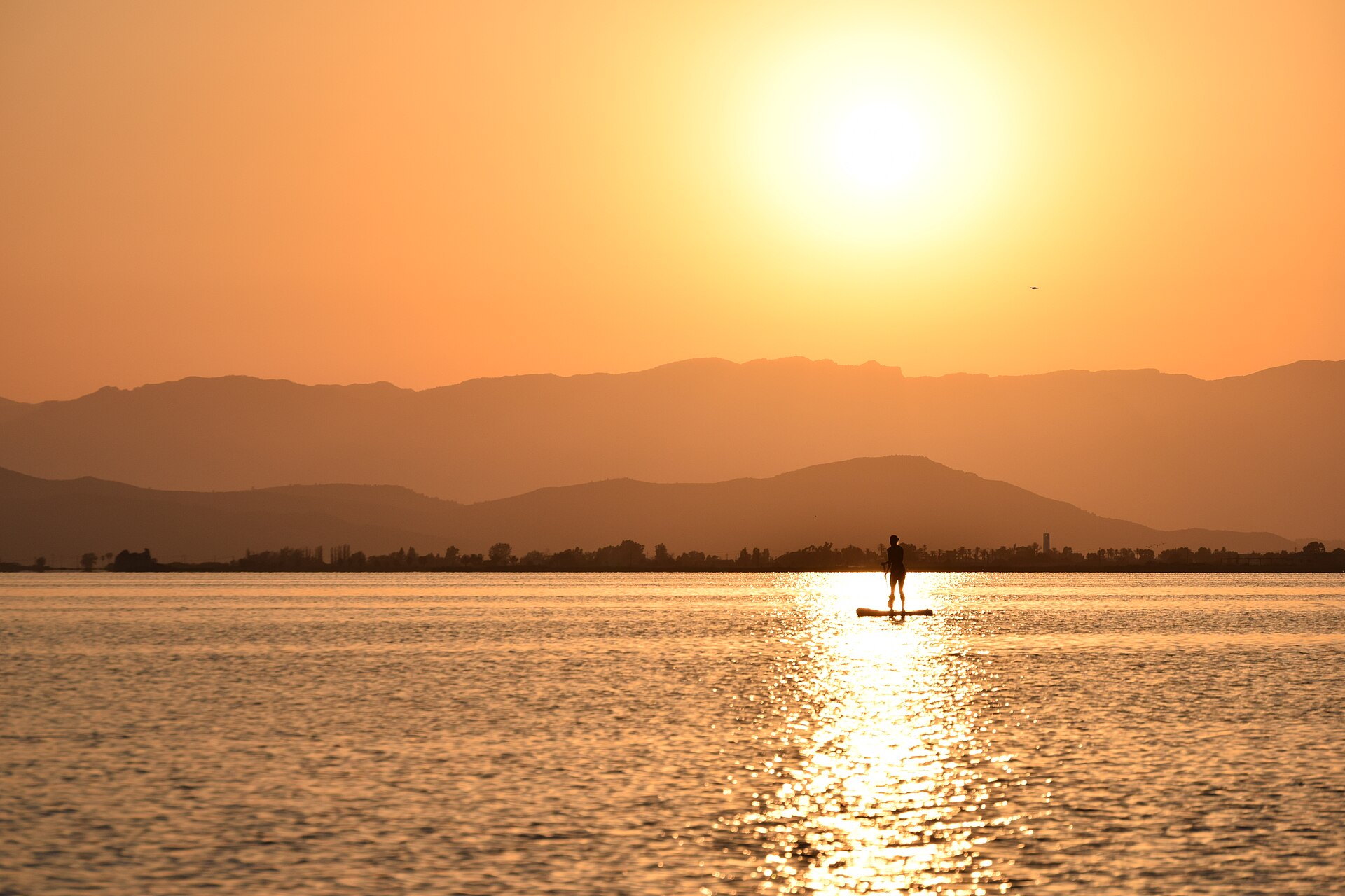Parque natural del Delta del Ebro