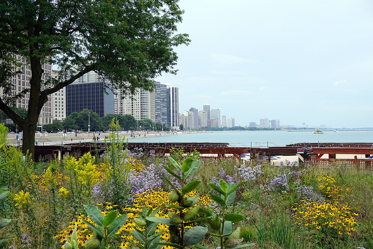 Ohio Street Beach, Chicago (49687024063)