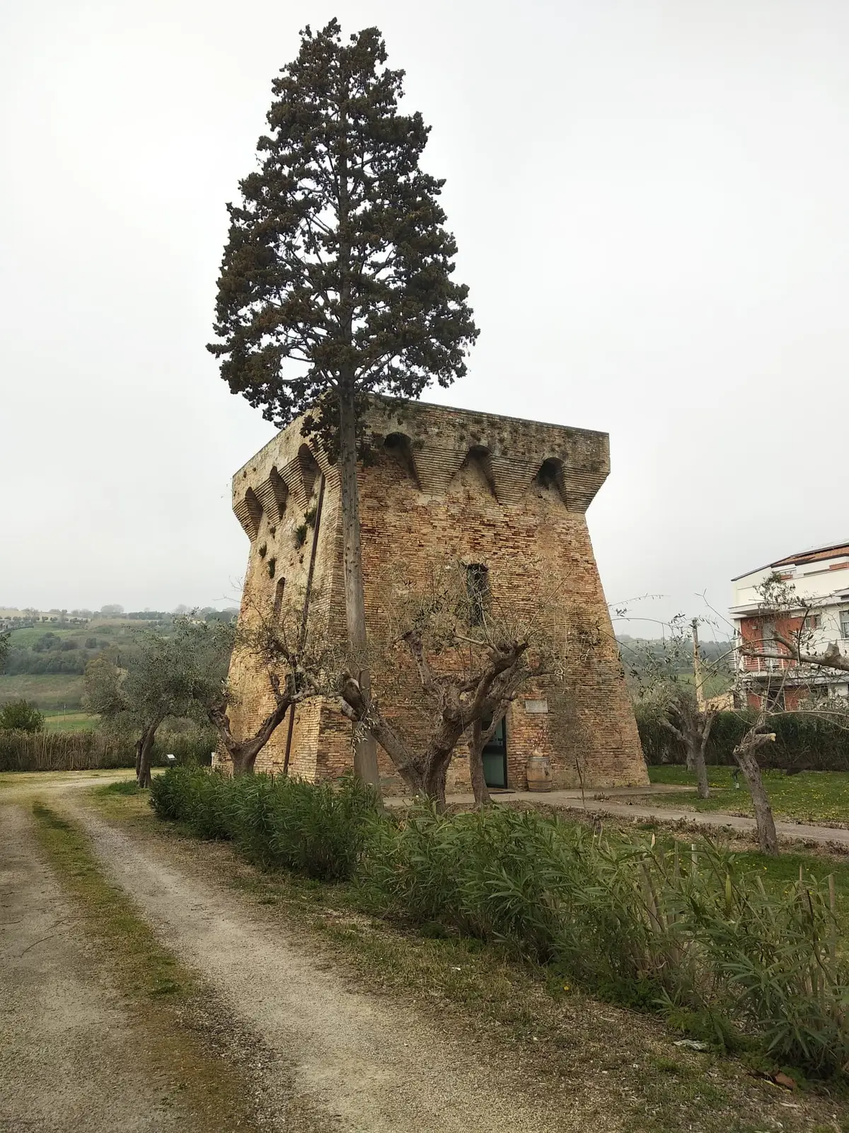 Torre del Salinello