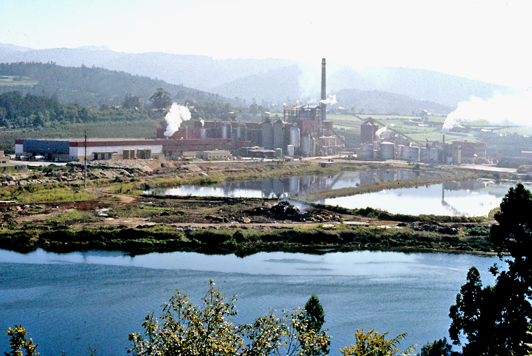 Navia (Asturias)
