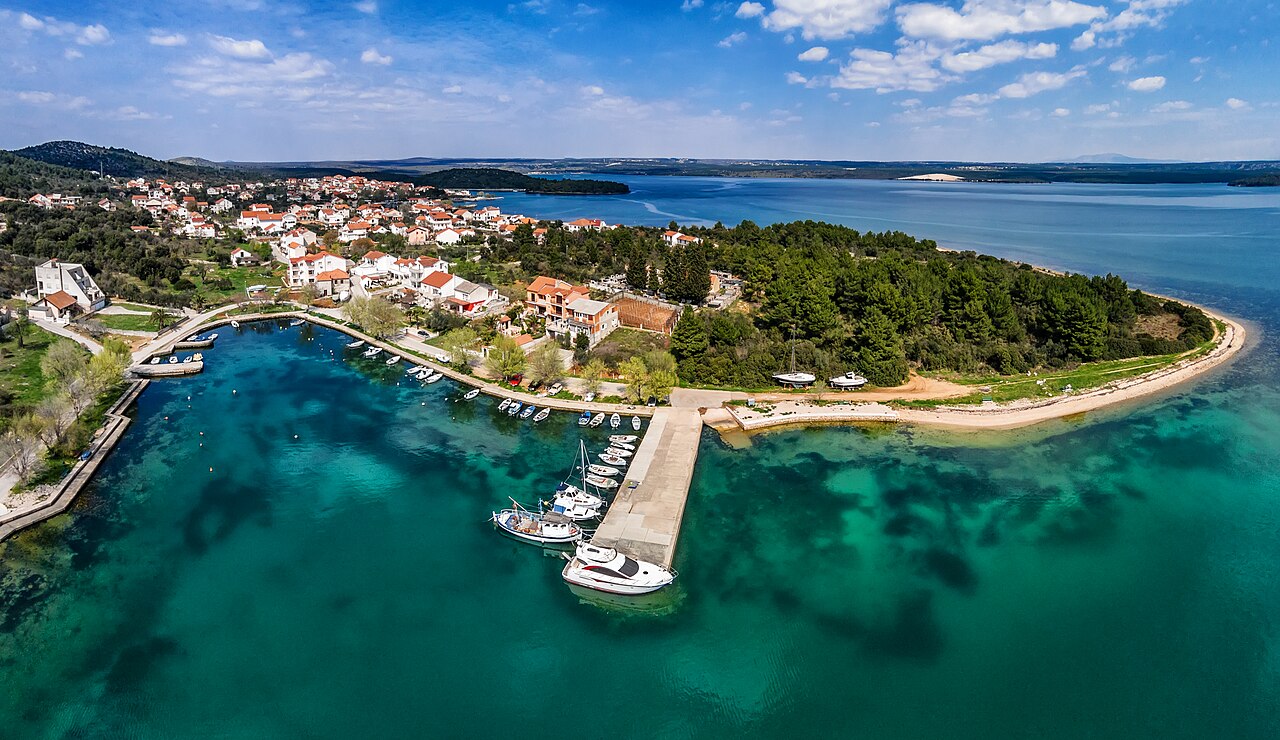 Raslina (2)