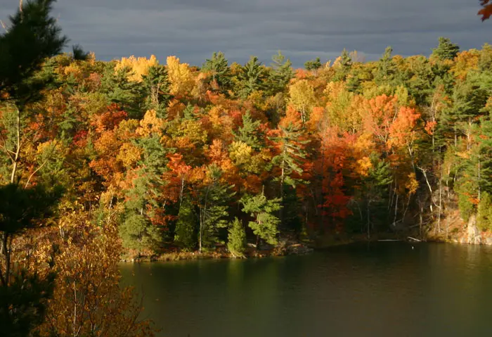 Gatineau Park
