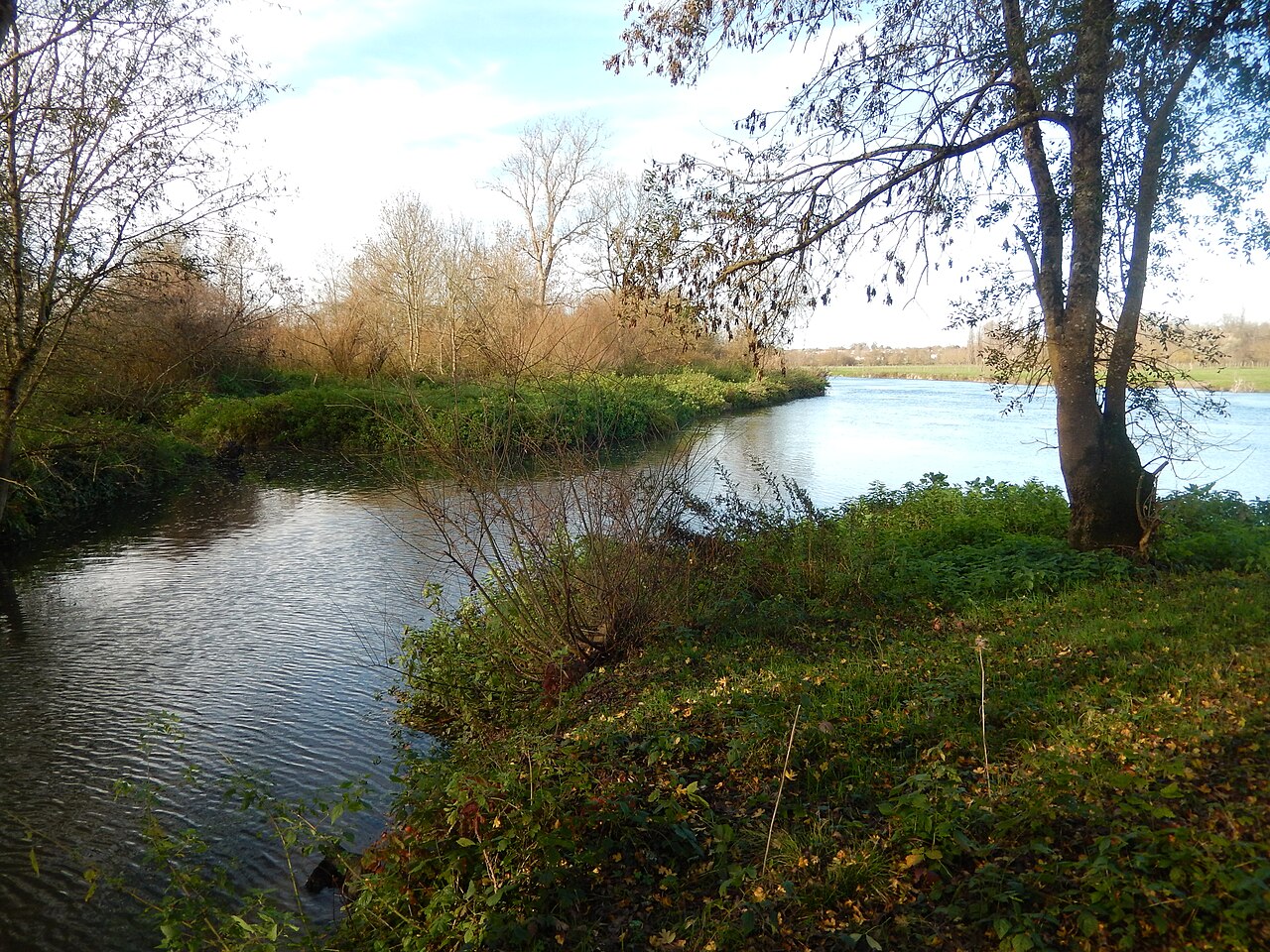 FR 17 Courcoury·Saint-Sever-de-Saintonge·Chaniers - Confluent de la Charente et du bras oriental de la Seugne
