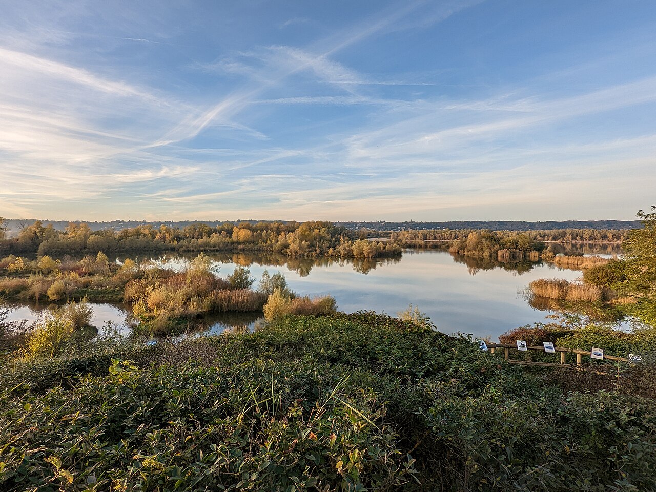 Miribel - Grand parc de Miribel-Jonage - Belvédère des Grands Vernes-- Vue depuis la partie haute
