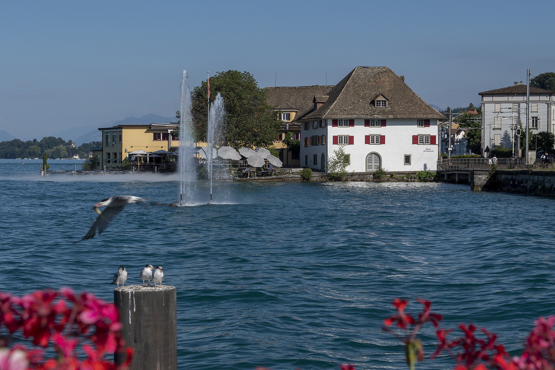 Sust Museum Horgen