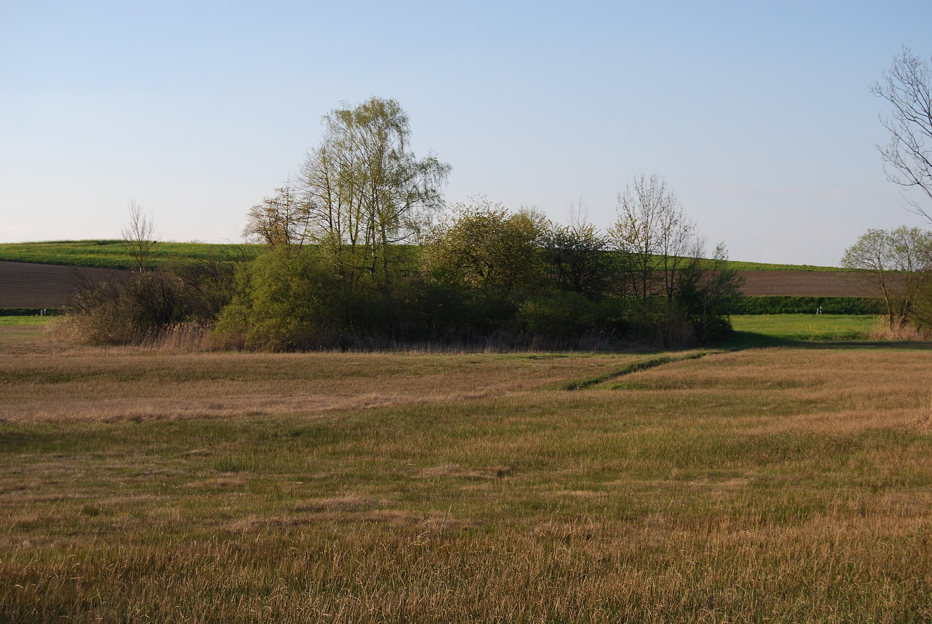 Naturschutzgebiet Werriker-/Glattenried