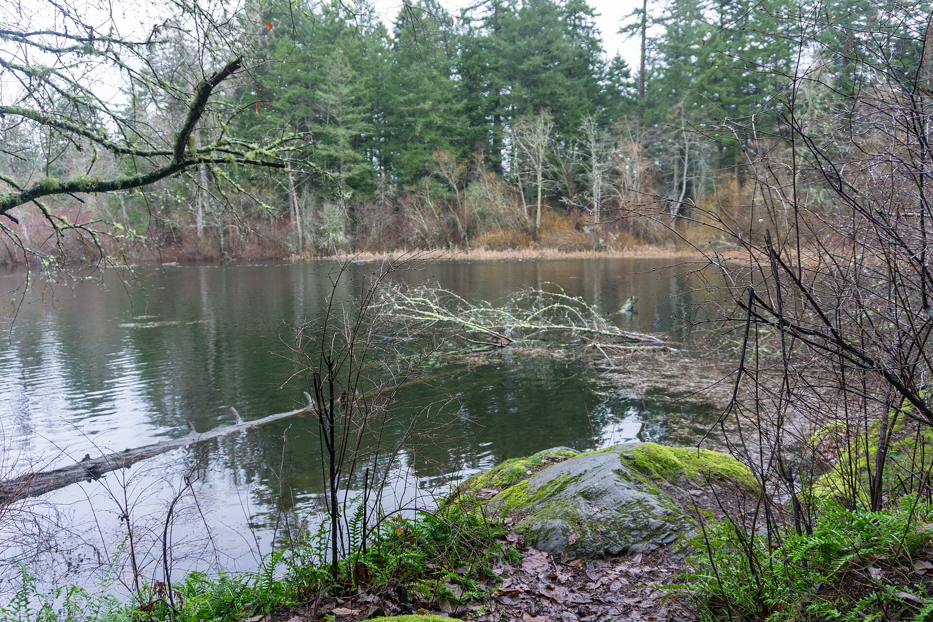 Elk/Beaver Lake Regional Park