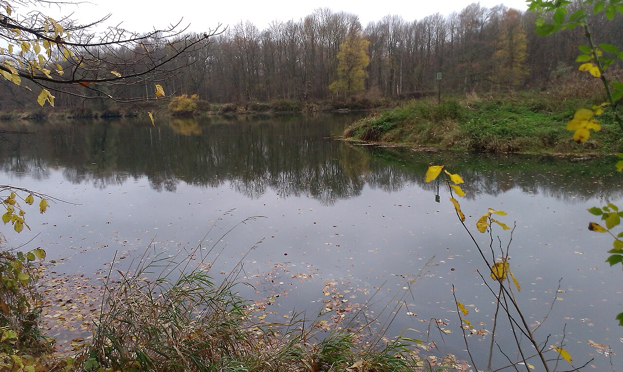 Usselmündung in die Donau