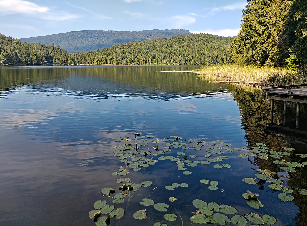 Sasamat-1