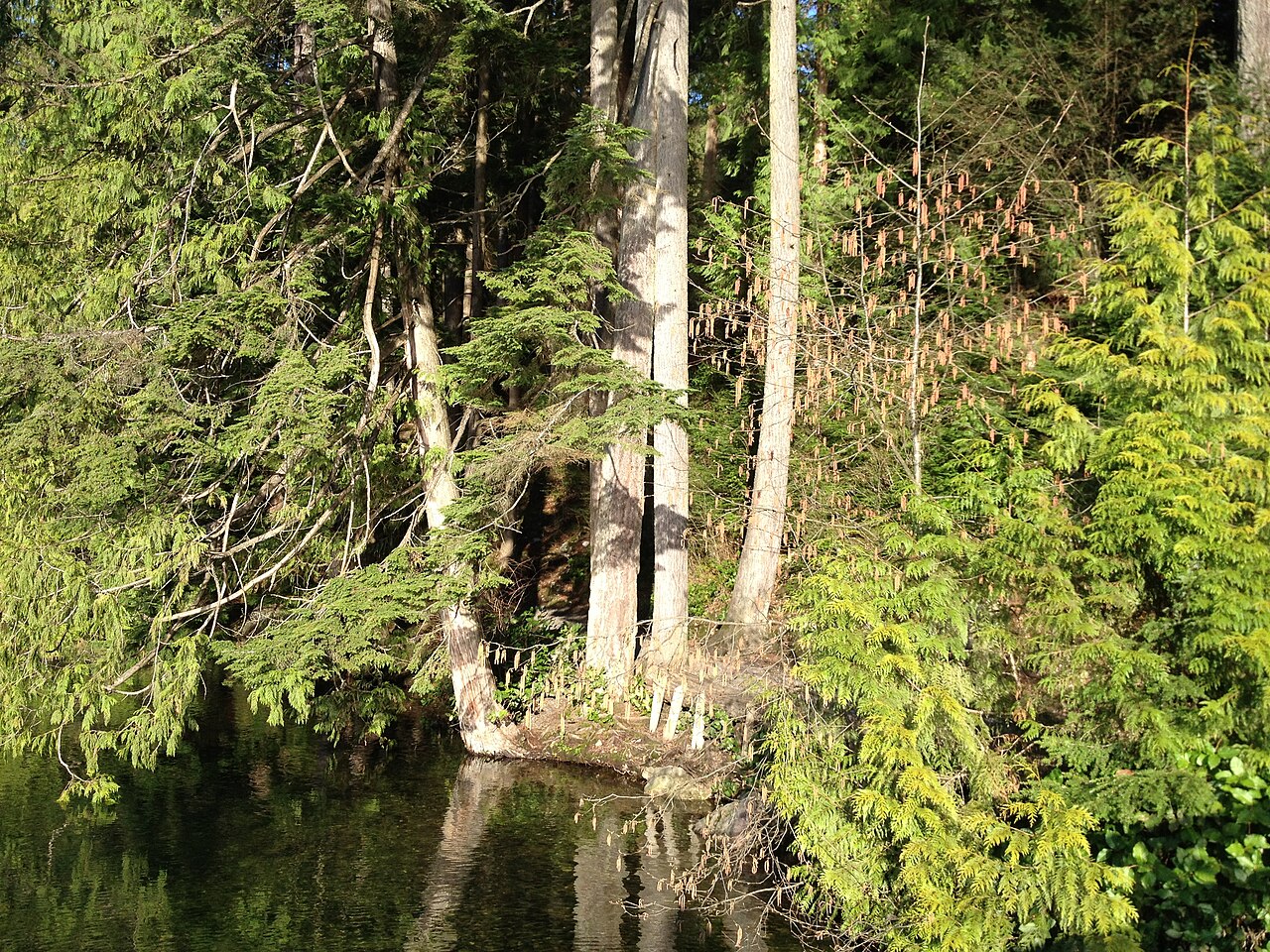 Lake231423RT