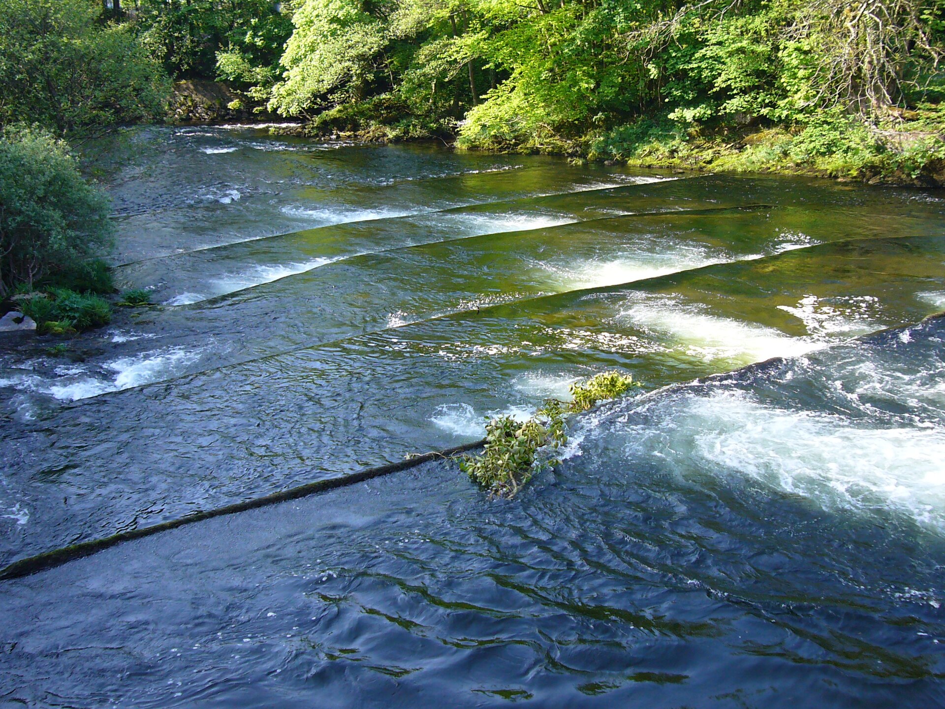 River Dart