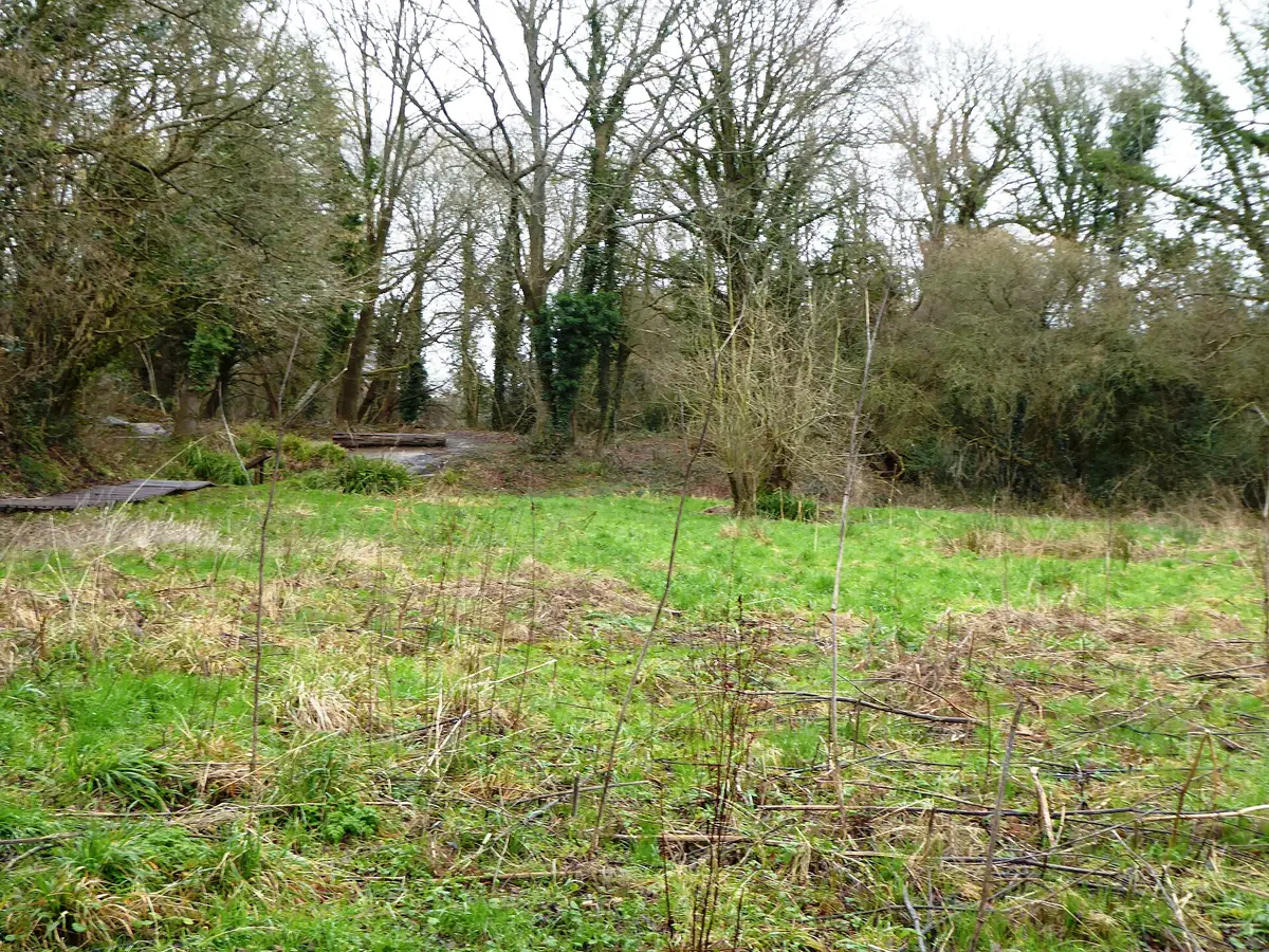 Crane Valley