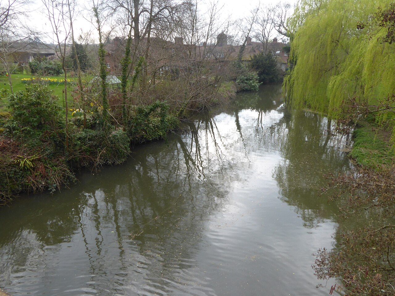 River Eden above Hever Bridge - geograph.org.uk - 5322684
