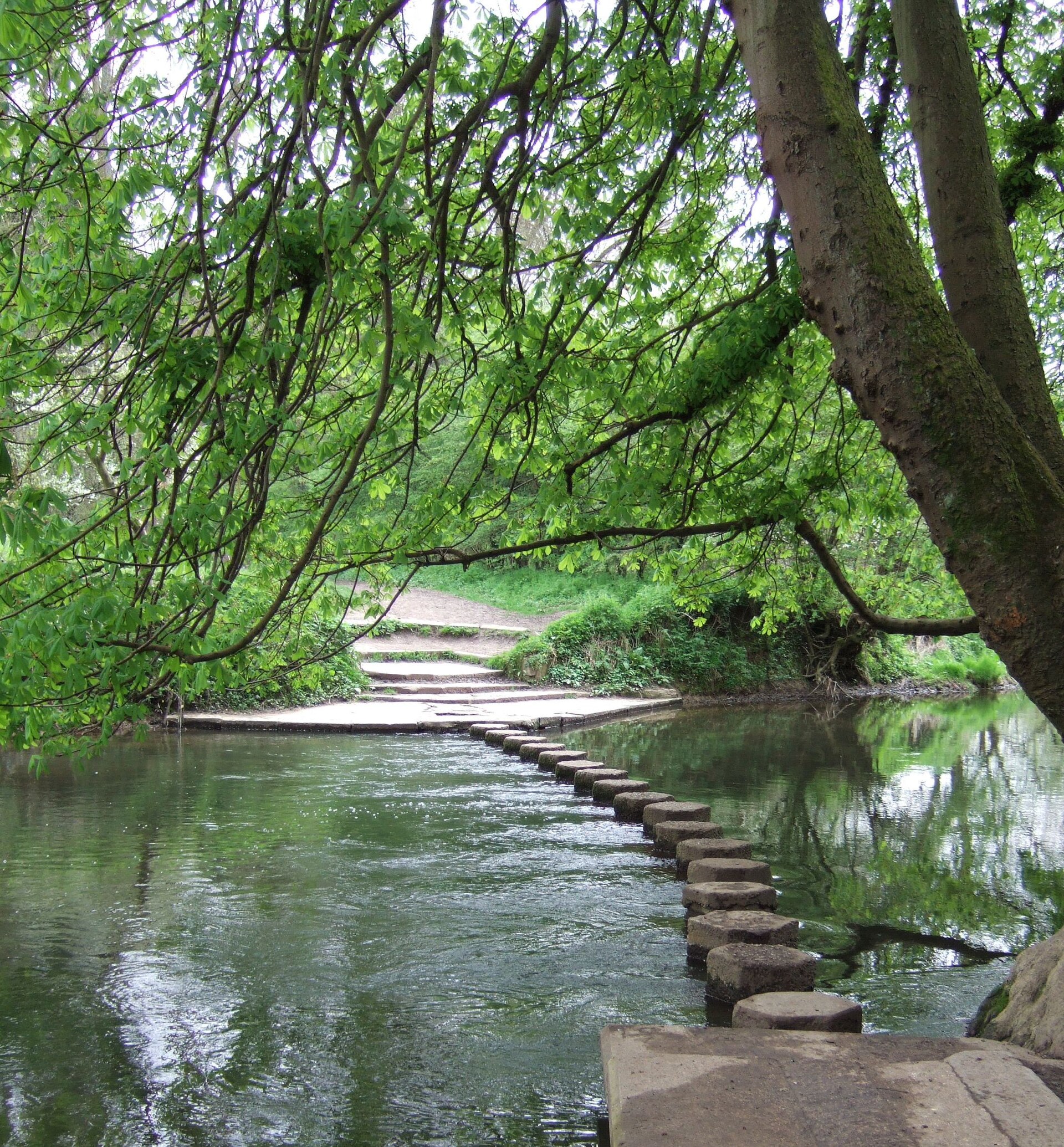 River Mole